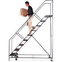 Slope Rolling Ladder, 5 Steps, Anti-Skid, 50° Incline, 50" High Auto-Cam