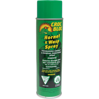 Insecticide contre les guêpes et les frelons, 325 g, Canette aérosol NE456 | Auto-Cam
