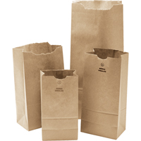 #3 Kraft Bag, Paper, 4-3/4" W x 8-1/2" L PG697 | Auto-Cam