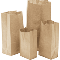 Paper Bags, Paper, 3" W x 5-7/8" L NG397 | Auto-Cam