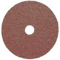 Resin Fibre Sanding Disc, Aluminum Oxide, A16, 5" Dia x 7/8" Arbor Auto-Cam