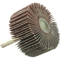Mounted Flapwheel, 60 Grit, 2" x 1" x 1/4" Auto-Cam