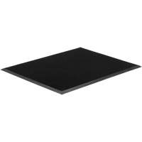 Tapis Gritstop Fingermat, Caoutchouc, Grattoir Type, Motif Textur&eacute;, 2' x 2-2/3', Noir Auto-Cam