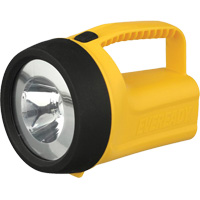 EverReady<sup>®</sup> Readyflex™ Floating Lantern, LED, 80 Lumens, D Batteries NJO241 | Auto-Cam