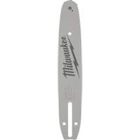 Guide-chaîne 10" pour scie &agrave; long manche Auto-Cam