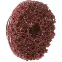 Disque TS &agrave; changement rapide 800069 P.A.R.T. # 21 Standard Abrasives, 5/8" dia., Grain Moyen, Oxyde d'aluminium Auto-Cam