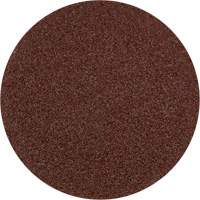 Lock Back Sanding Disc - 3", 3" Dia., 36 Grit, Aluminum Oxide Auto-Cam