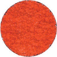 Blaze R980P Quick-Change Cloth Disc, 2" Dia., 36 Grit, Ceramic Alumina Auto-Cam