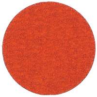 Blaze R980P Quick-Change Cloth Disc, 2" Dia., 60 Grit, Ceramic Alumina Auto-Cam