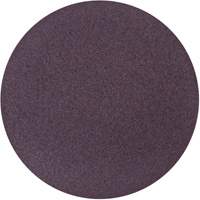Metalite&reg; Cloth PSA Sanding Disc, 10" Dia., 36 Grit, Aluminum Oxide Auto-Cam