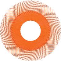 Scotch-Brite Type C Precision Radial Bristle Brush PN-RB without Adapter, Ceramic, 80+ Grit, 6" Dia. Auto-Cam