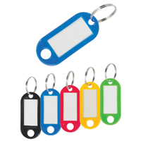 Plastic Key Tags Auto-Cam