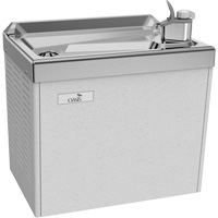 Wall Mounted Water Cooler Auto-Cam