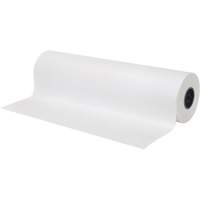 Papier, Papier journal, 12" x 1695', 30 lb, Rouleau Auto-Cam