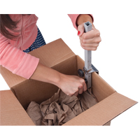 Carton Sizer Auto-Cam