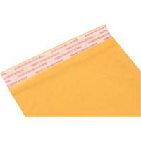 Enveloppes postales coussinées, Kraft, 5" la x 10" lo PG239 | Auto-Cam