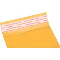 Enveloppes postales coussinées, Kraft, 4" la x 8" lo PG240 | Auto-Cam