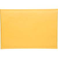 Enveloppes postales coussinées, Kraft, 10-1/2" la x 16" lo PG245 | Auto-Cam