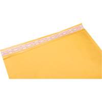 Enveloppes postales coussinées, Kraft, 12-1/2" la x 19" lo PG246 | Auto-Cam