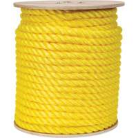 Braided Yellow Rope, Polypropylene, 300' Auto-Cam