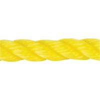 Braided Yellow Rope, Polypropylene, 144' Auto-Cam