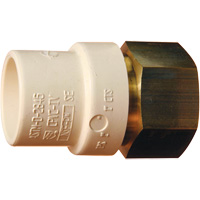 Adaptateur de tuyau filet&eacute;, Noeud x FPT, 1" dia., Laiton/PVC-C Auto-Cam