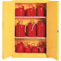 Insulated Flammable Liquid Safety Cabinets, 45 gal., 2 Door, 44" W x 66" H x 19" D SA088 | Auto-Cam