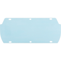 Facetec Polycarbonate Visor, Polycarbonate, Clear Tint Auto-Cam