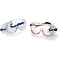 22 Series Safety Goggles, Clear Lens, Direct Vent Auto-Cam