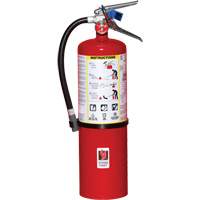 Fire Extinguisher, ABC, 10 lbs. Capacity Auto-Cam