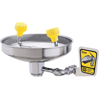 Eyewash With Acetal Heads, Wall-Mount Installation, Stainless Steel Bowl Auto-Cam