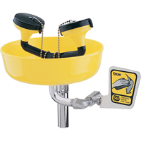 Eyewash Station, Supply Pipe Mount Installation, Plastic Bowl Auto-Cam