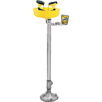 Eyewash Station, Pedestal Installation, Plastic Bowl Auto-Cam