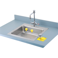 Swing-Away Eyewash Station, Counter-Mount Installation Auto-Cam