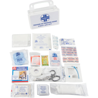 First Aid Kit, Class 1 Medical Device, Plastic B Auto-Cam