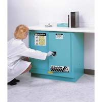 Armoires de s&eacute;curit&eacute; pour acides & produits corrosifs avec doublure ChemCor, 22 gal., 35" x 35" x 22" Auto-Cam