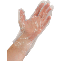 Disposable Gloves, Large, Polyethylene, 0.02-mil, Powder-Free, Clear SAI935 | Auto-Cam