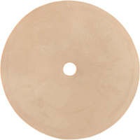 Survivair&reg; Inhalation Valve Auto-Cam