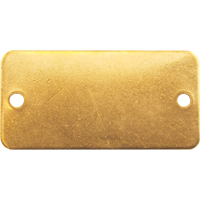 Blank Tags, Brass, 2" W x 1" H Auto-Cam