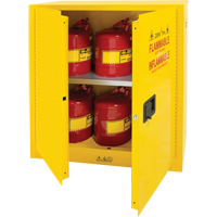 Armoire pour produits inflammables, 30 gal., 2 Porte(s), 43" La x 44" h x 18" p Auto-Cam