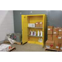 Armoire pour produits inflammables, 45 gal., 2 Porte(s), 43" La x 65" h x 18" p Auto-Cam