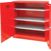 Paint/Ink Cabinet, 45 gal., 3 Shelves Auto-Cam