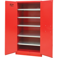 Paint/Ink Cabinet, 96 gal., 5 Shelves Auto-Cam