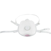 Respirateur contre les particules, P100, Certifi&eacute; NIOSH, Moyen/grand Auto-Cam