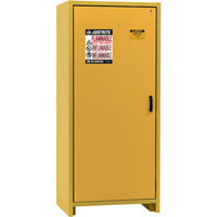 Armoire d'entreposage 30 minutes s&eacute;curitaire et conforme &agrave; la norme EN, 30 gal., 1 Porte(s), 34,02" La x 76,65" h x 24,21" p Auto-Cam