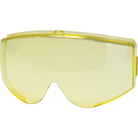 Verre de rechange pour les lunettes de sécurité Uvex HydroShield<sup>MD</sup> Stealth<sup>MD</sup> SGW359 | Auto-Cam