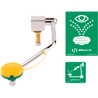 Poste de douche oculaire/faciale, Installation Montage sur &eacute;vier Auto-Cam