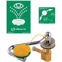 Poste de douche oculaire/faciale, Installation Montage sur &eacute;vier Auto-Cam