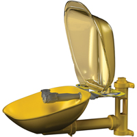 Halo Eyewash Stations, Wall-Mount Installation, Plastic Bowl Auto-Cam