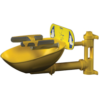Halo Face/Eyewash Stations, Wall-Mount Installation, Plastic Bowl Auto-Cam